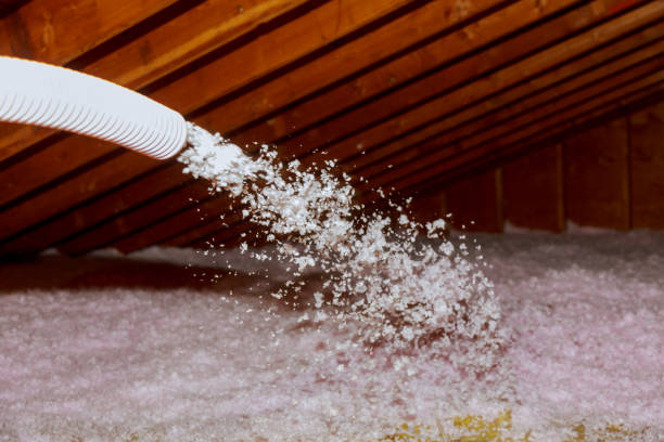 Best Residential Insulation Services  in Montegut, LA