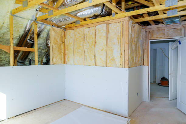 Best Insulation Replacement Services  in Montegut, LA