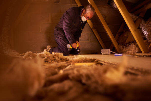 Trusted Montegut, LA Insulation Contractor Experts